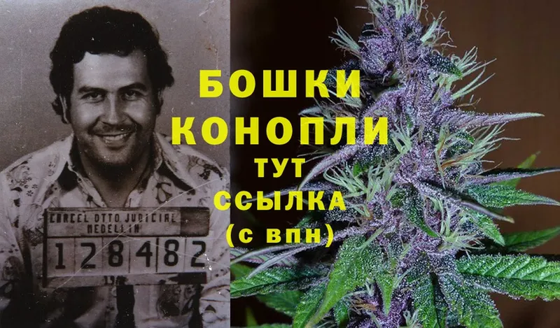 Бошки Шишки Bruce Banner  где продают   Кандалакша 